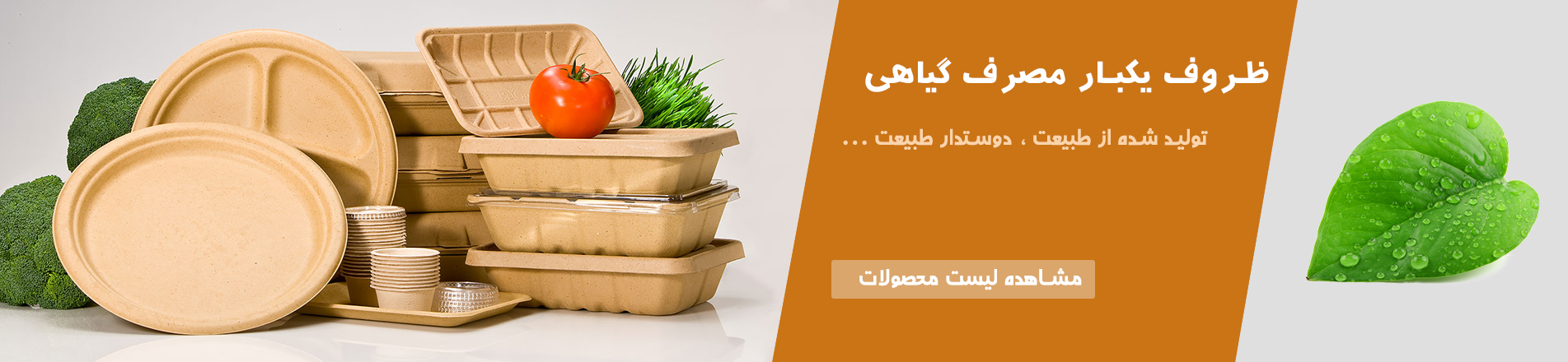 ظروف یکبار مصرف گیاهی